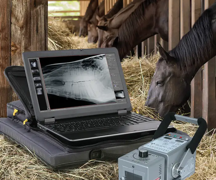 Equipamiento Equino