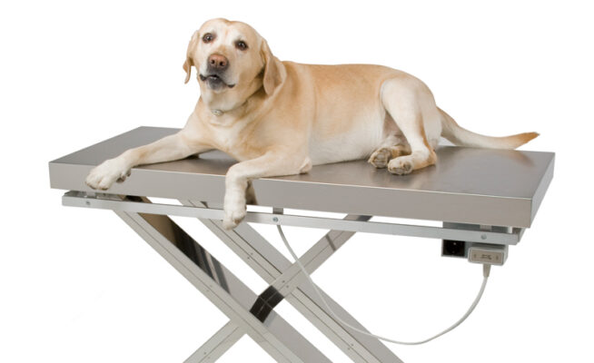 Mesa de Exploración Veterinaria