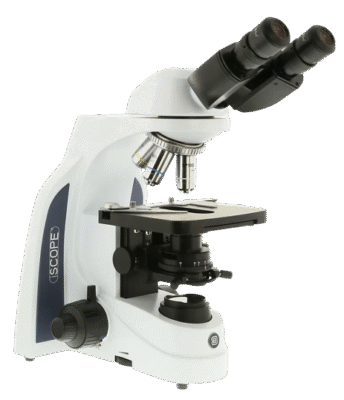 microscopio veterinaria