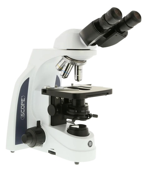 microscopio veterinaria