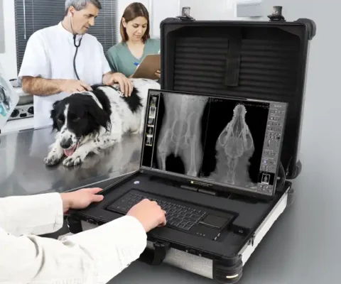 rayos-x-veterinaria